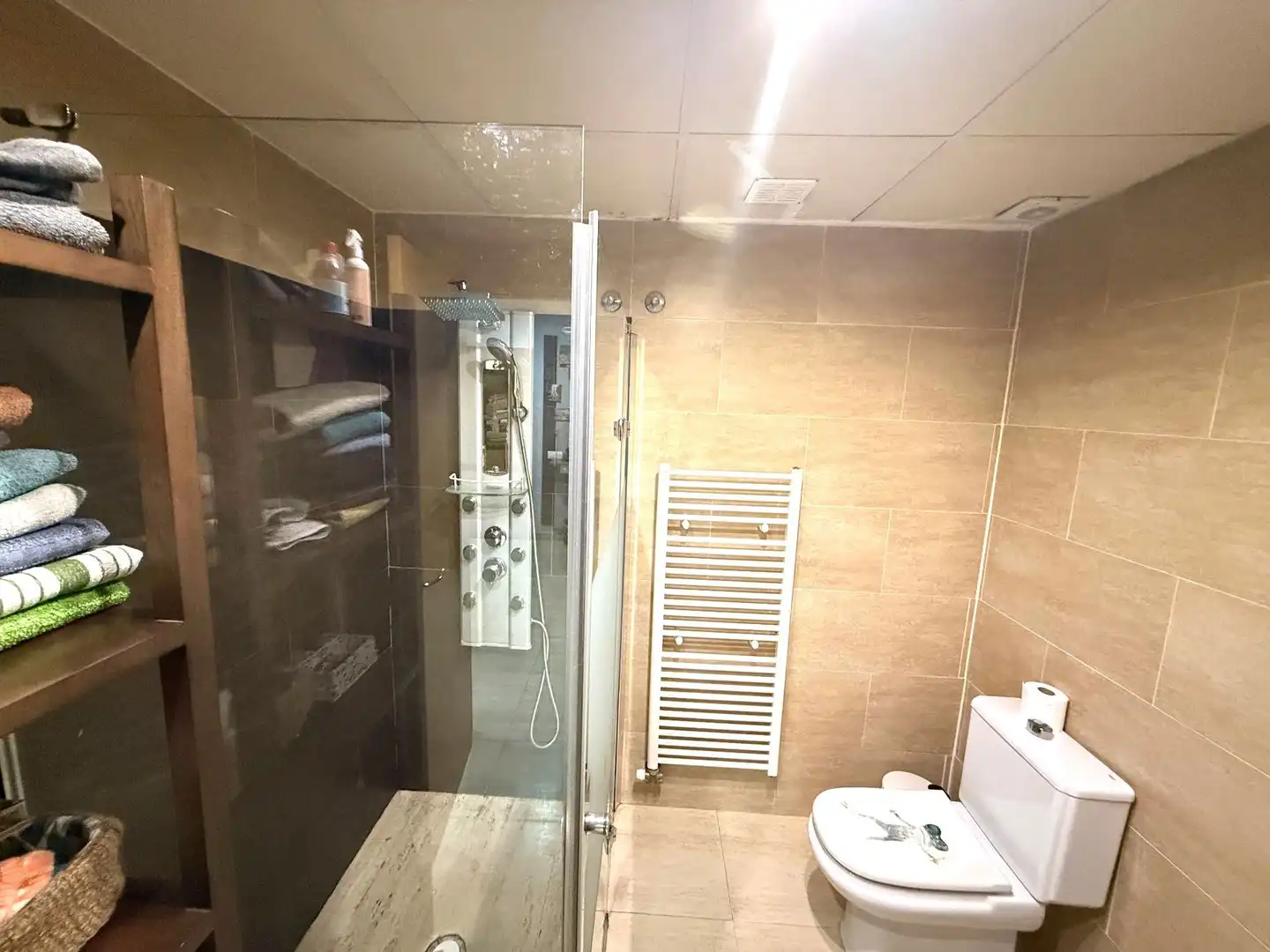 Bathroom of Houses for sale in La Vall d'en Bas  with Air Conditioner, Heating and Terrace