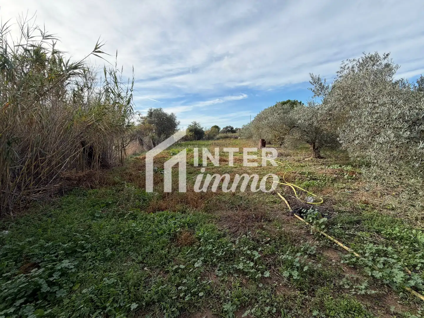 Terreno residencial en venta en Camino TORRE DEL VIENTO s/n, imagen 14