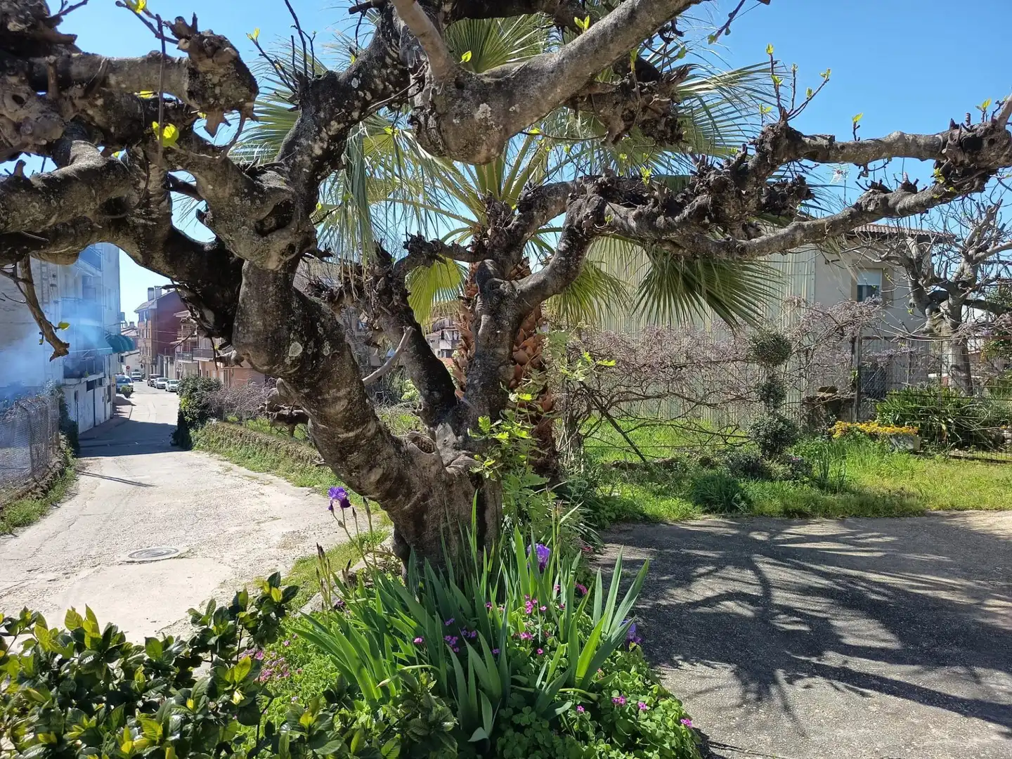 Garden of Residential for sale in Candeleda