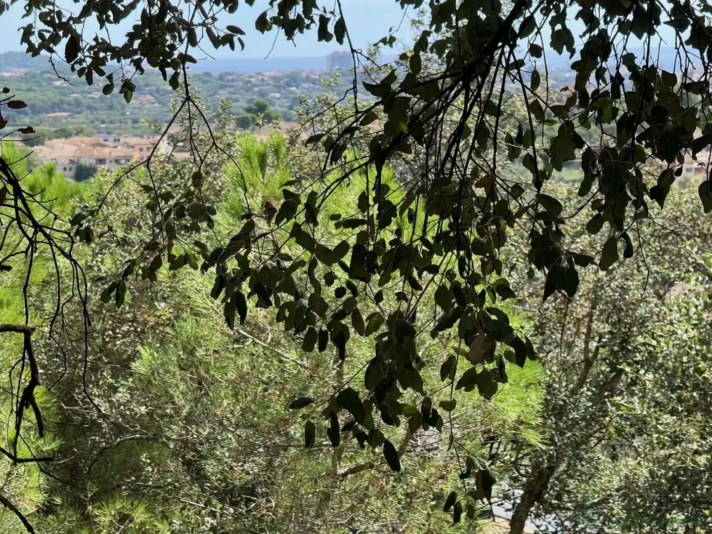 Residential land for sale in Bergueda, imagen 10