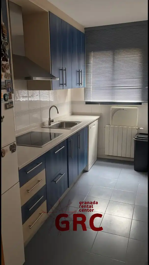 Kitchen of Flat for rent in Granada  with Heating, Furnished and Oven