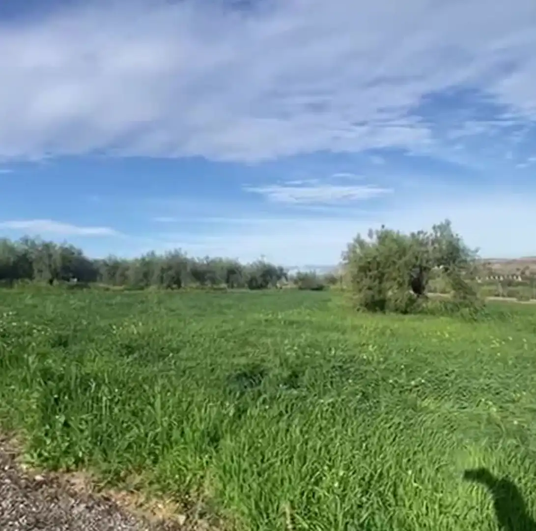 Rural land for sale in La Rosa, imagen 7