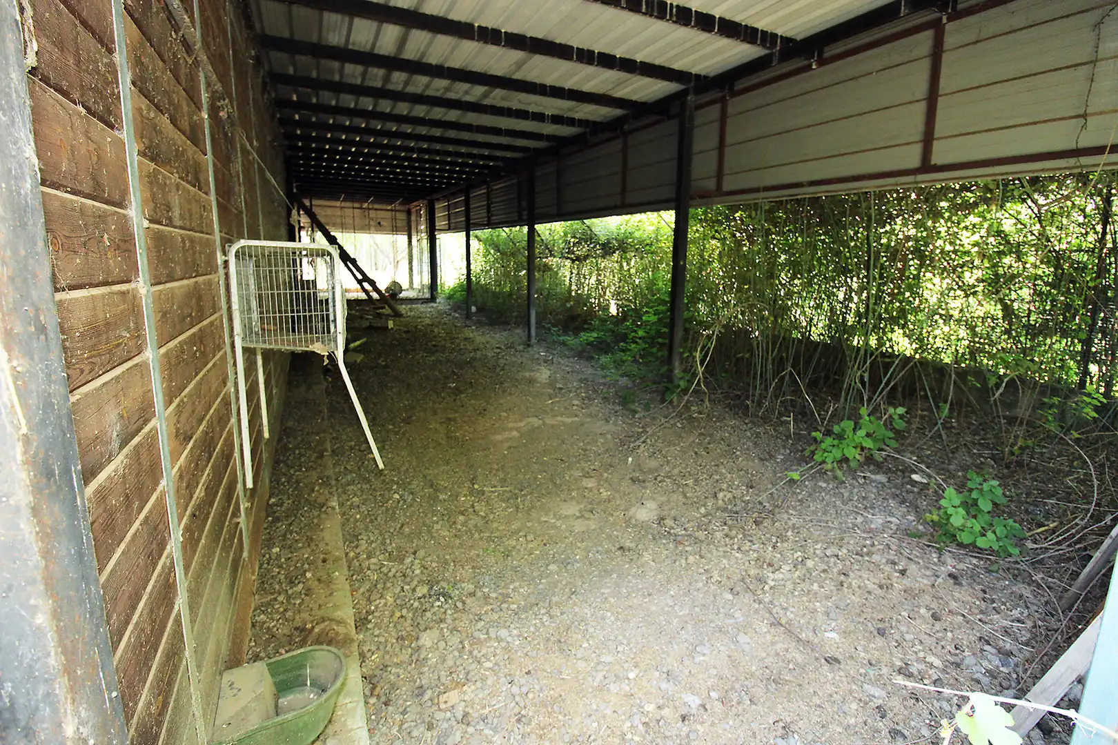 Land for sale in Torrelaguna