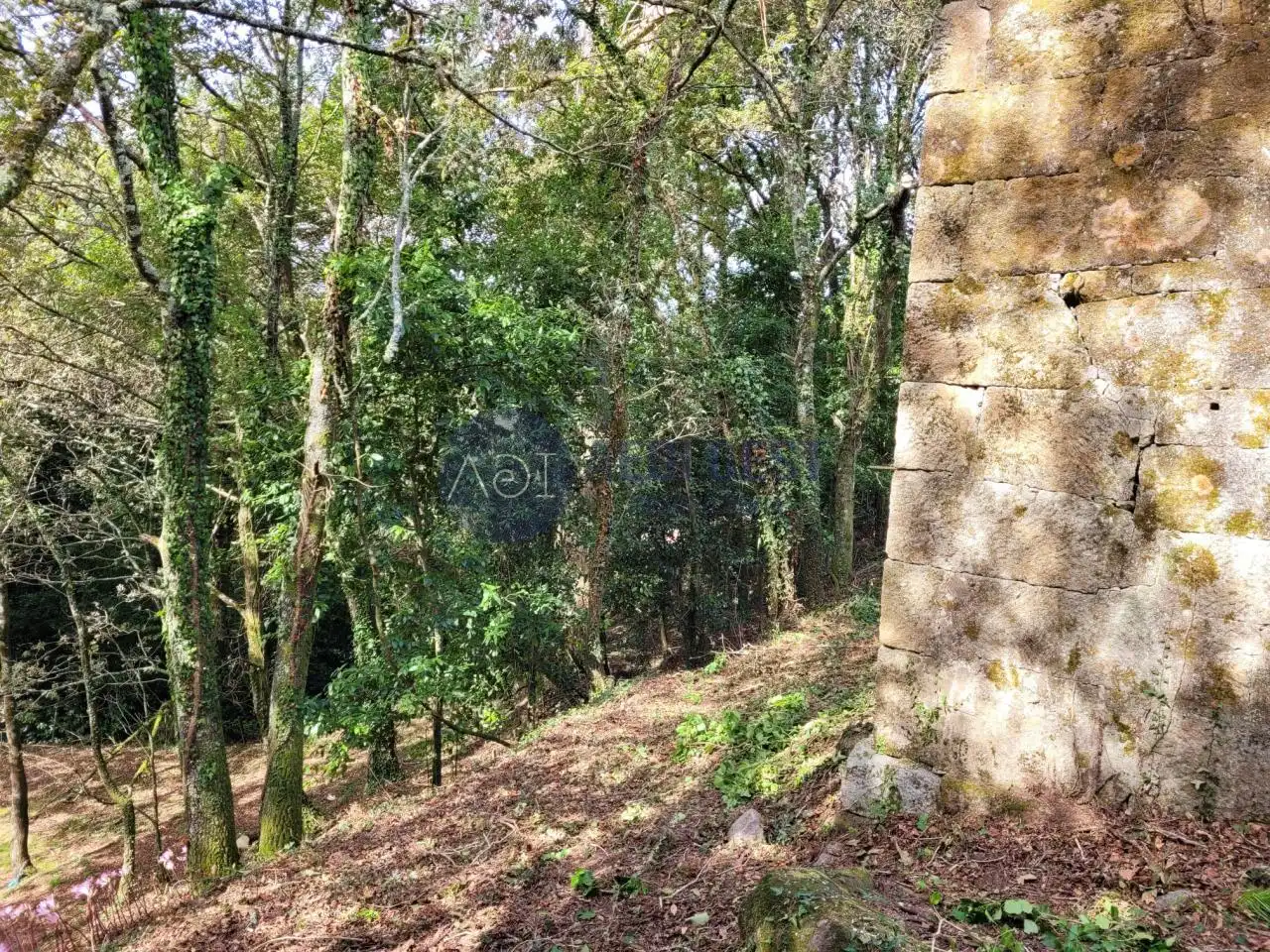 Casa rústica amb jardí en venda a Lugar Gandara, imagen 2