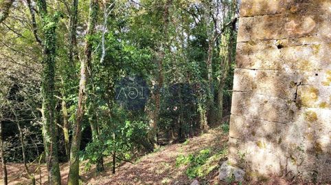 Foto 2 de Finca rústica en venta en Lugar Gandara, Gondomar, Pontevedra