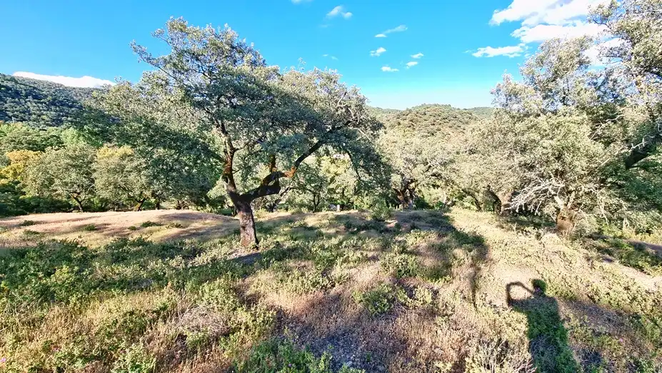 Terreni e lotti in vendita a Linares de la Sierra, imagen 11