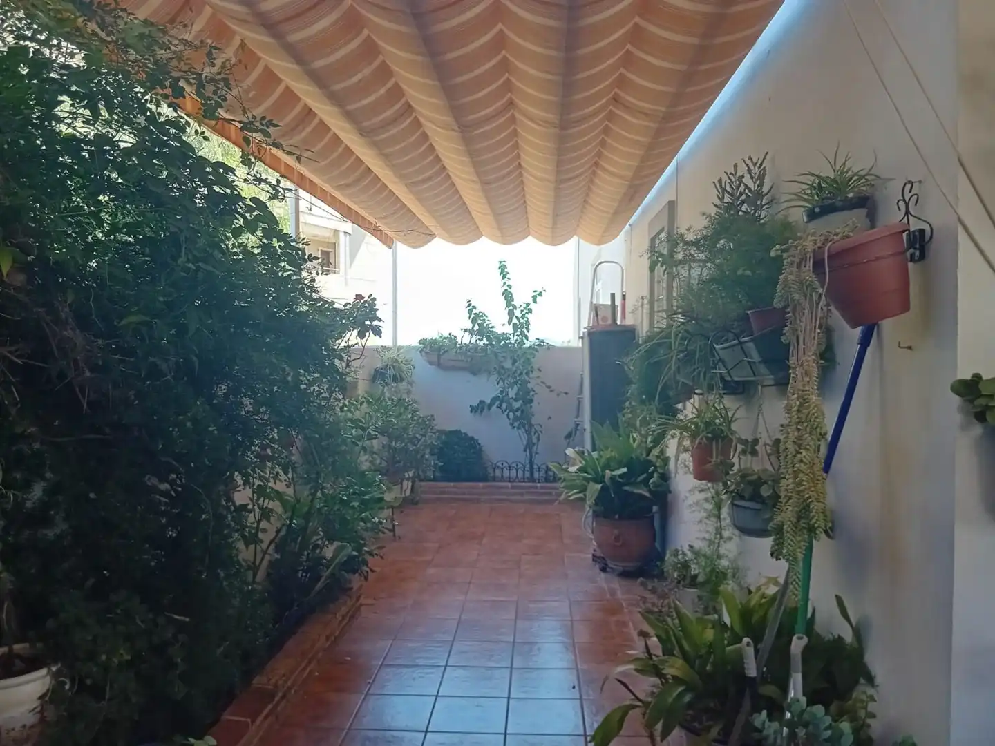 Casa o xalet en venda a Trigueros, Los Pacos