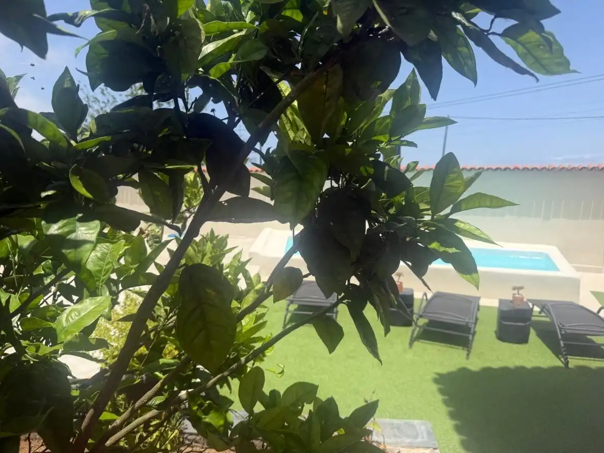 Piscina de Casa o xalet en venda en La Orotava amb Terrassa