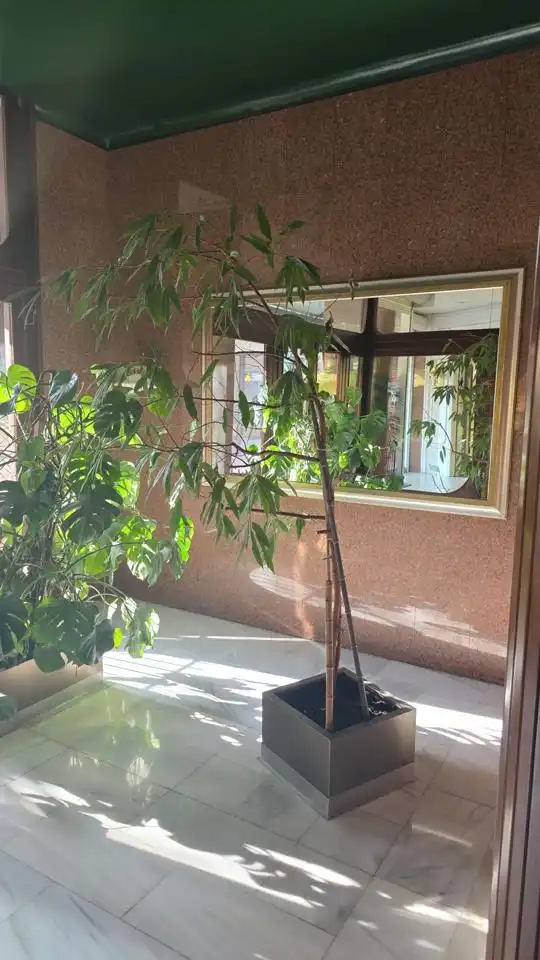 Appartement à vendre à Passatge Pompeu, imagen 8