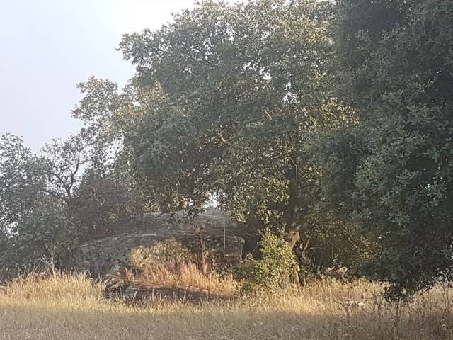 Terreno en Venta en Esparragalejo