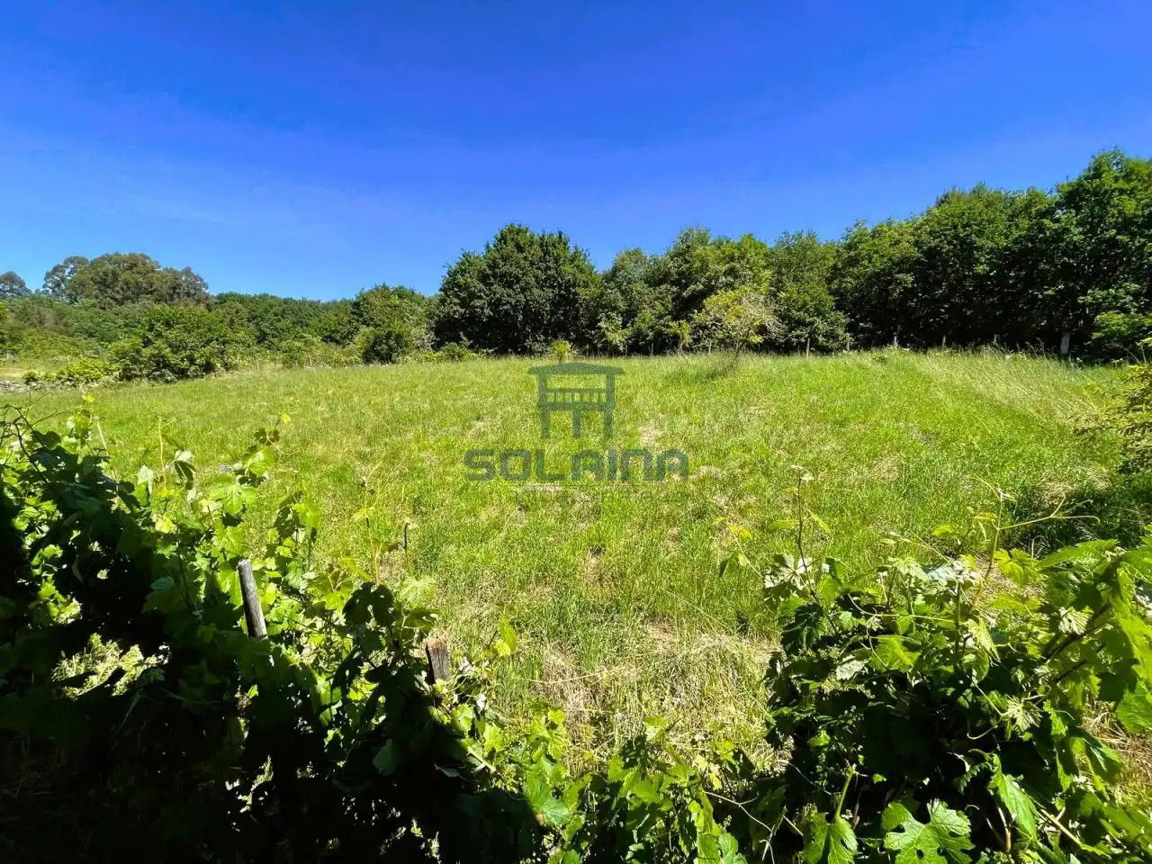 House with terrace for sale in O Pereiro de Aguiar, imagen 57