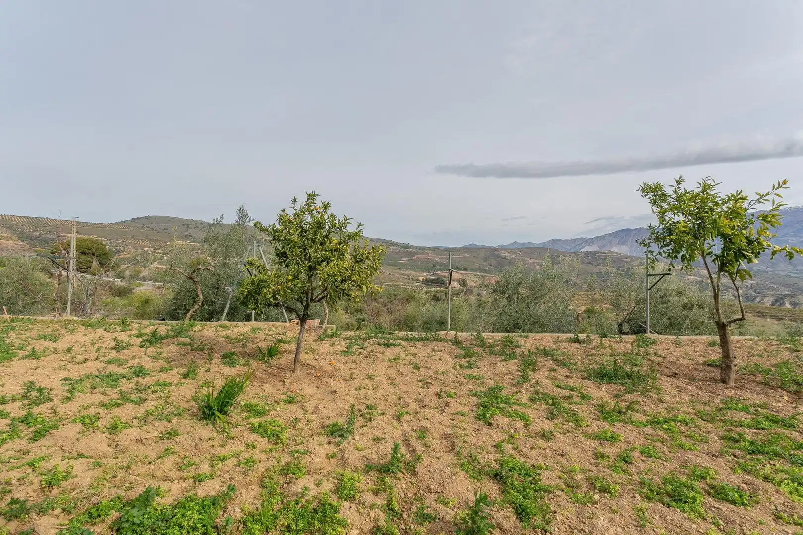 Casa o chalet en venta en Albuñuelas con Aire acondicionado, Jardín privado y Terraza