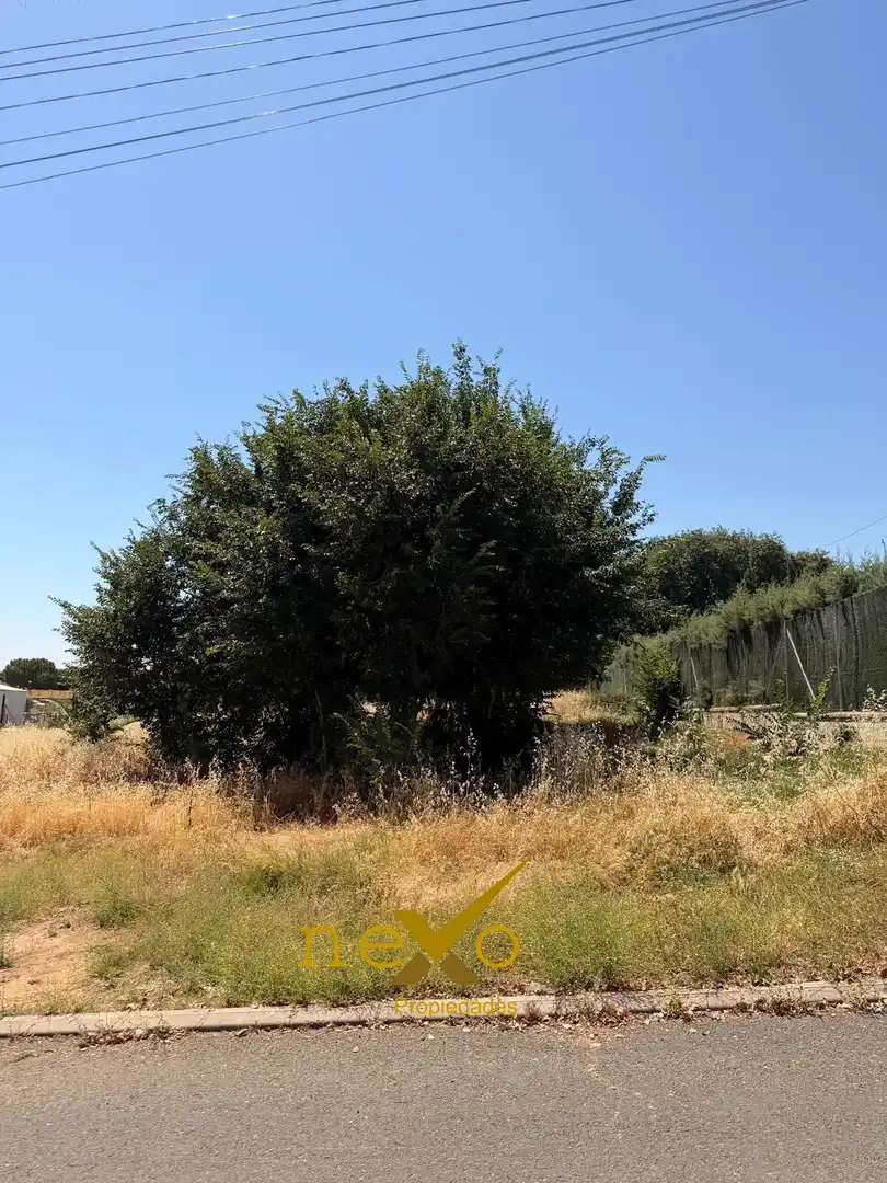 Terreni e lotti in vendita a Carmona, imagen 3