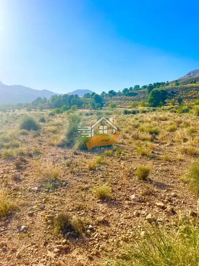 Terrenos y solares en venta en Vélez-Blanco, imagen 11