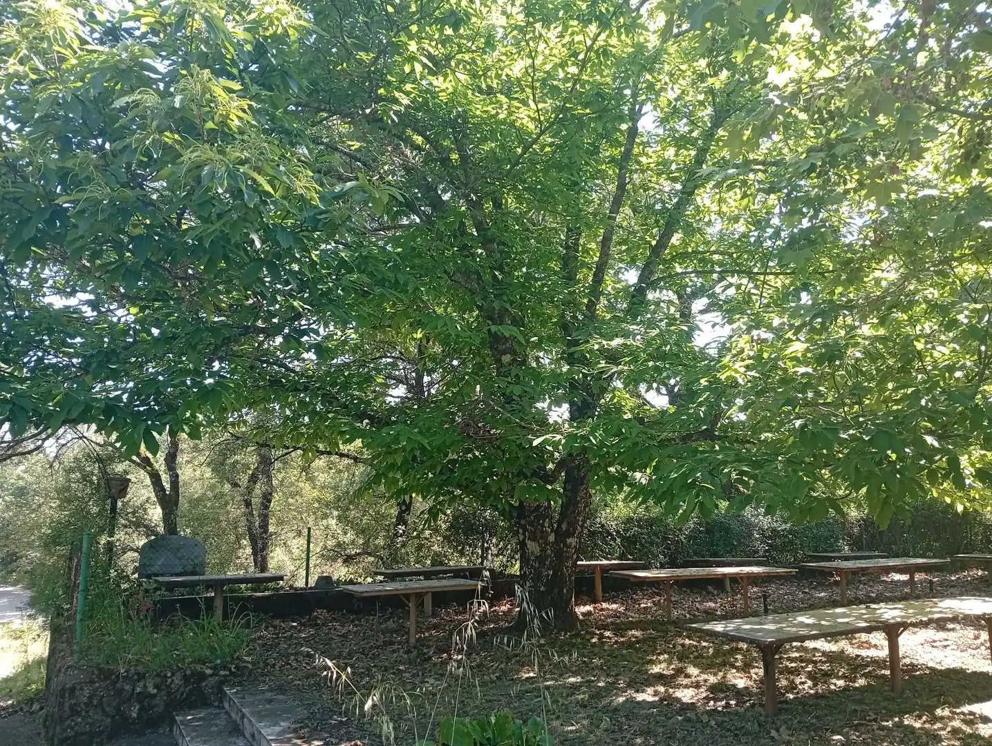 Terreni e lotti in vendita a Villanueva de la Vera, imagen 47