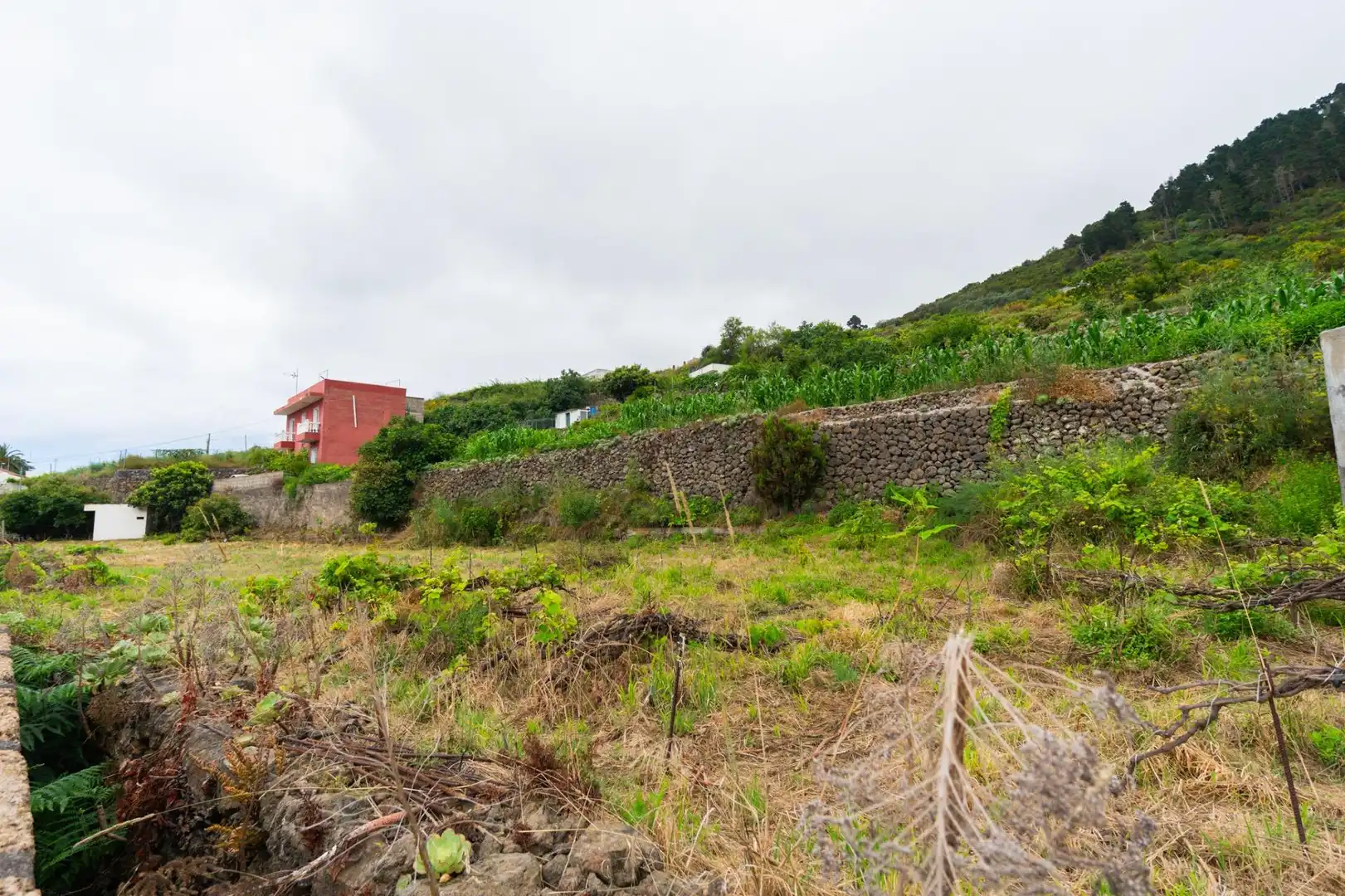 Terreno rustico in vendita a Las Cuevas - Los Gómez, imagen 18