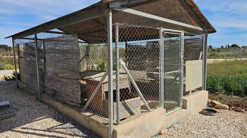 Foto 5 de Casa o chalet en venta en Valverde, Elche / Elx