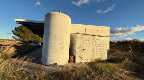 FINCA REGADIO DE 31 HECTAREAS EN EPILA ZARAGOZA, immagine 5