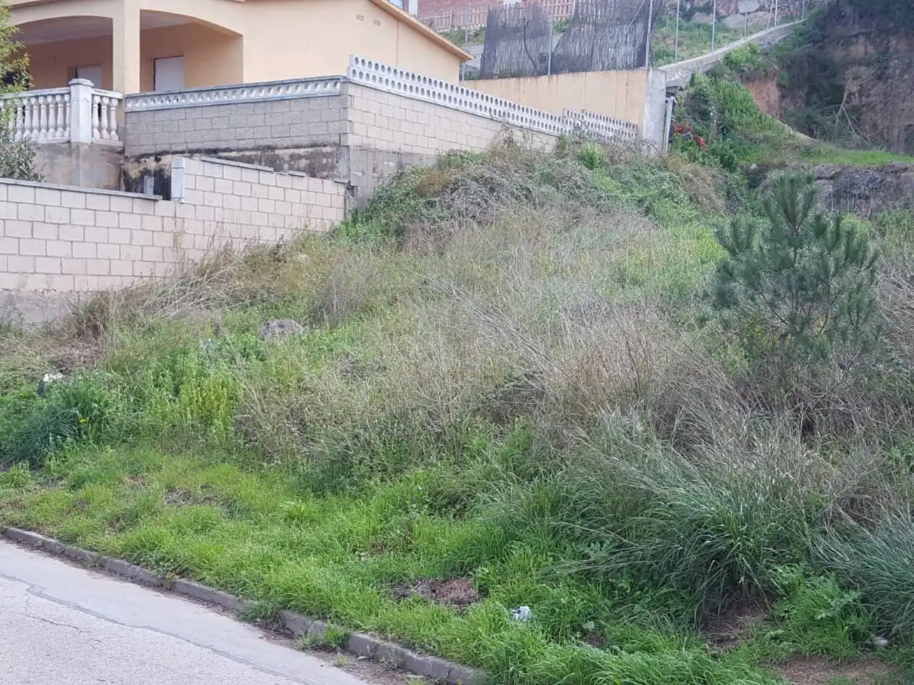 Residential land for sale in Mas Mora - Sant Daniel, imagen 2