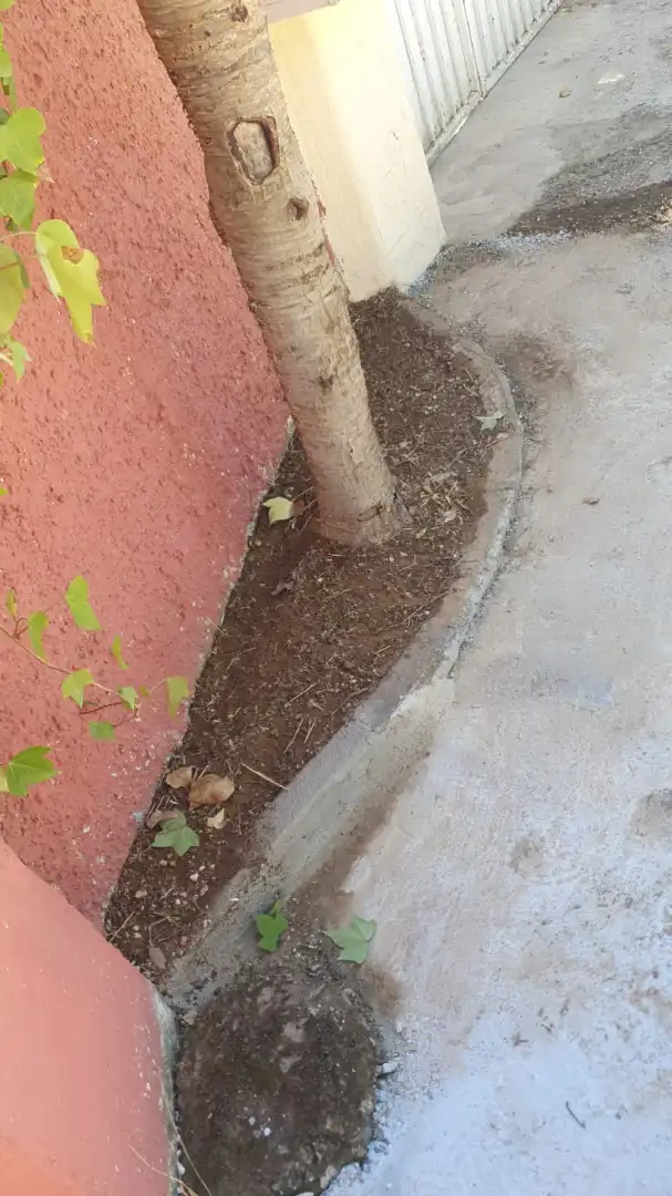 Casa rústica con piscina en venta en Buenavista - Lauro Golf, imagen 52