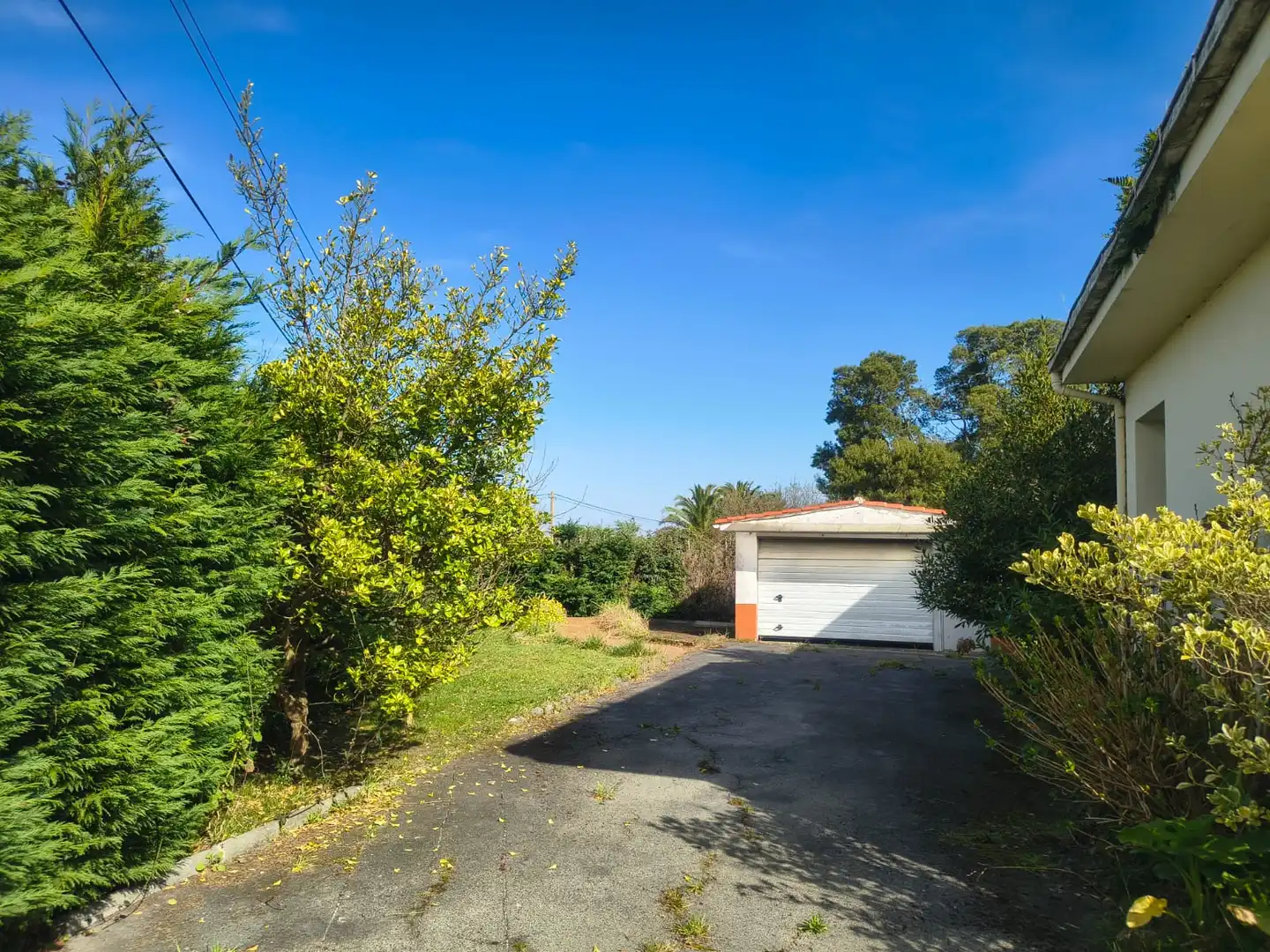 Vista exterior de Casa o xalet en venda en Villaviciosa amb Calefacció, Jardí privat i Terrassa