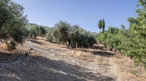Photo 4 of Land for sale in Polígono Poligono 51 Parcela 44, 51, Montefrío, Granada