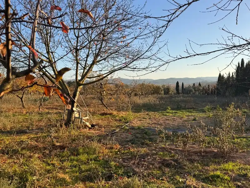 Terreno rustico in vendita a Barri Castell d'Empordà, imagen 7