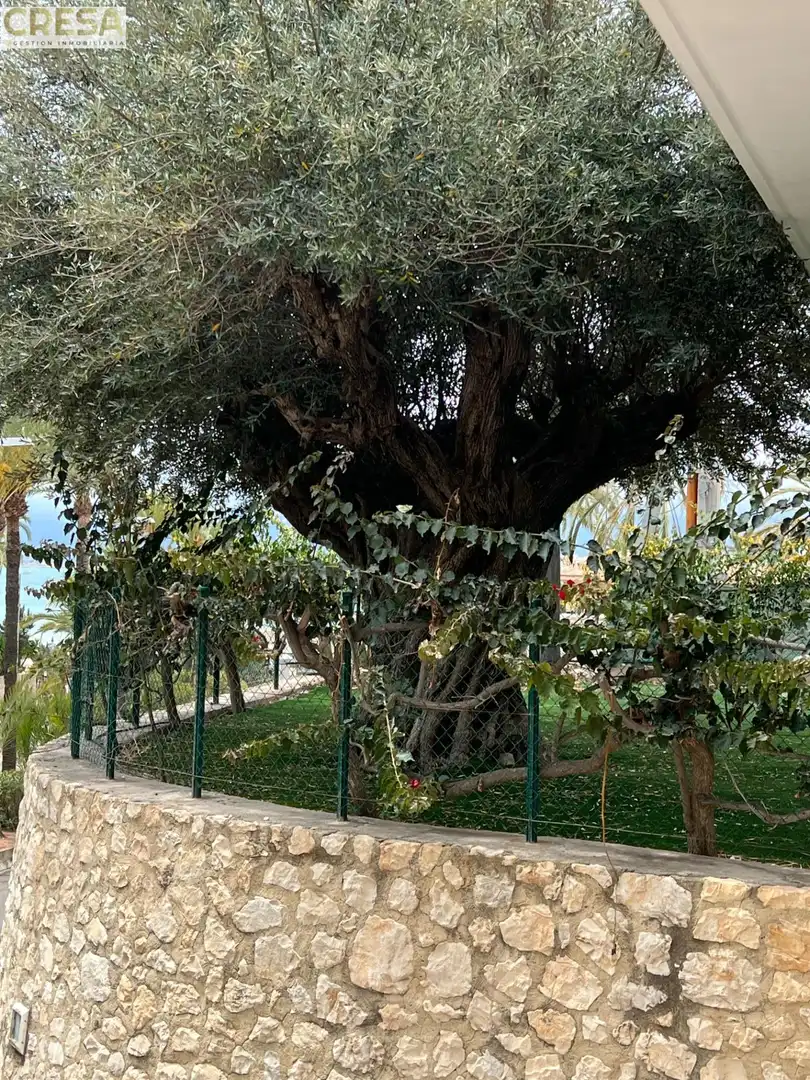 Garden of Houses for sale in Cullera  with Heating, Private garden and Terrace