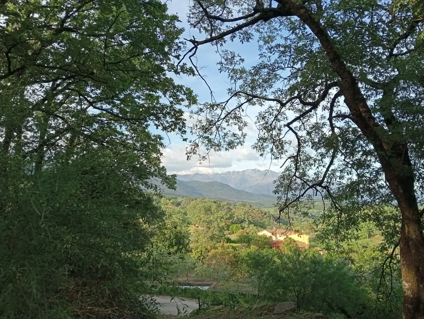 Vista exterior de Terreno en venta en Villanueva de la Vera