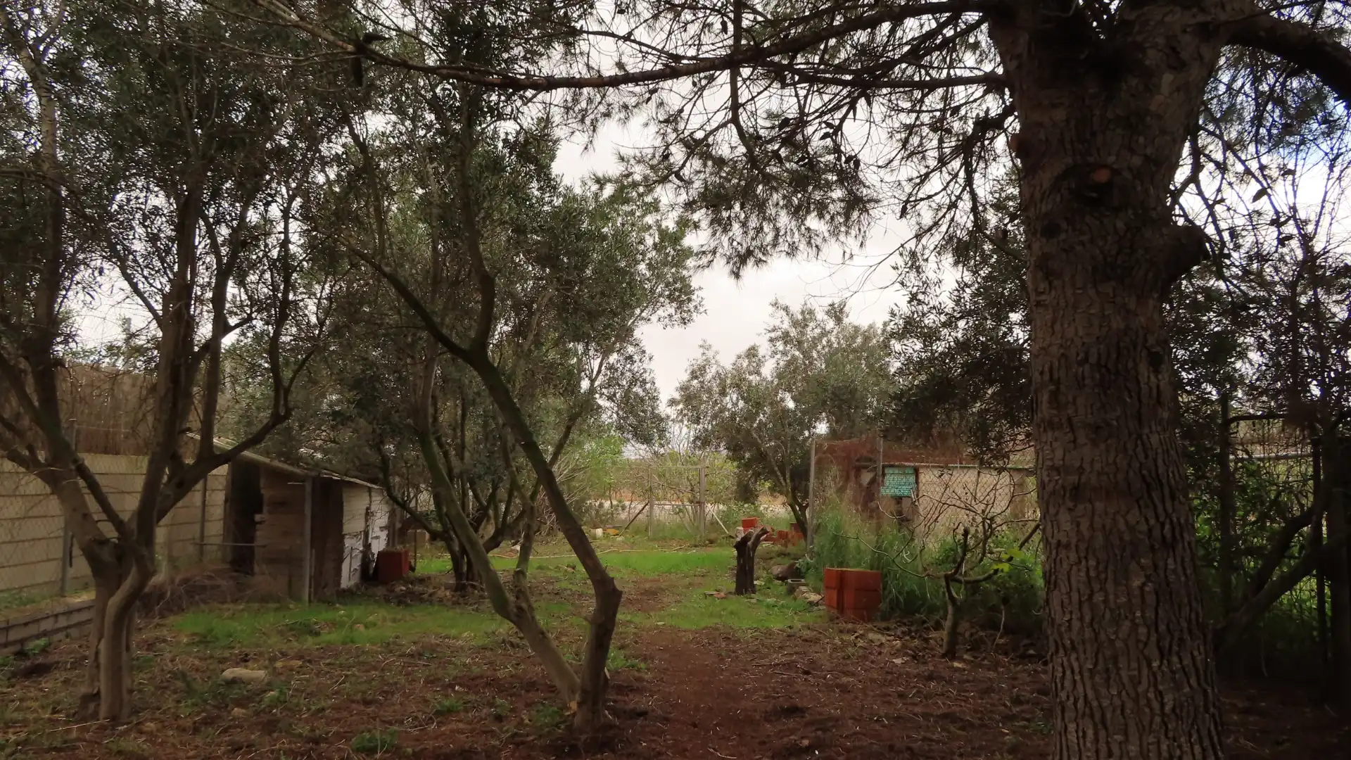 Jardín de Finca rústica en venta en Cartagena con Jardín privado, Trastero y Piscina