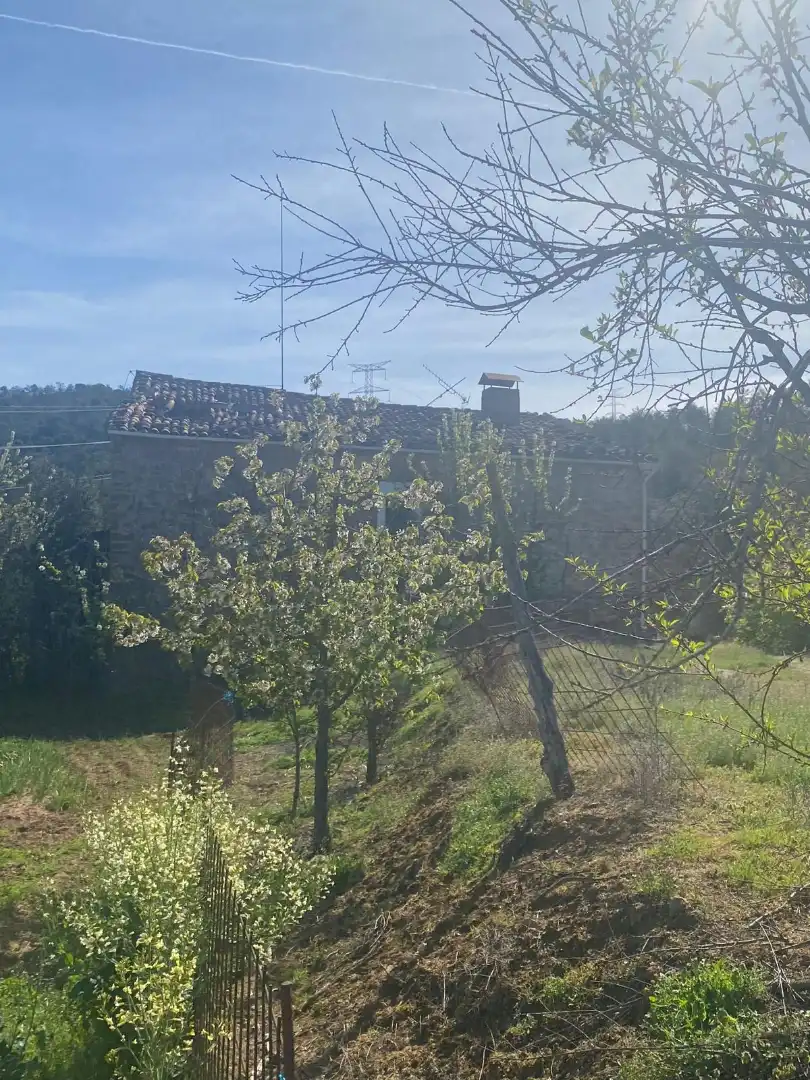 Terreny en venda en Tiurana