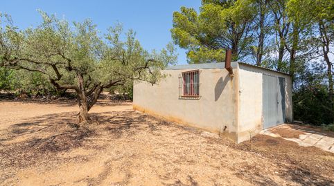 Finca rústica de olivos con almacén agrícola, immagine 3