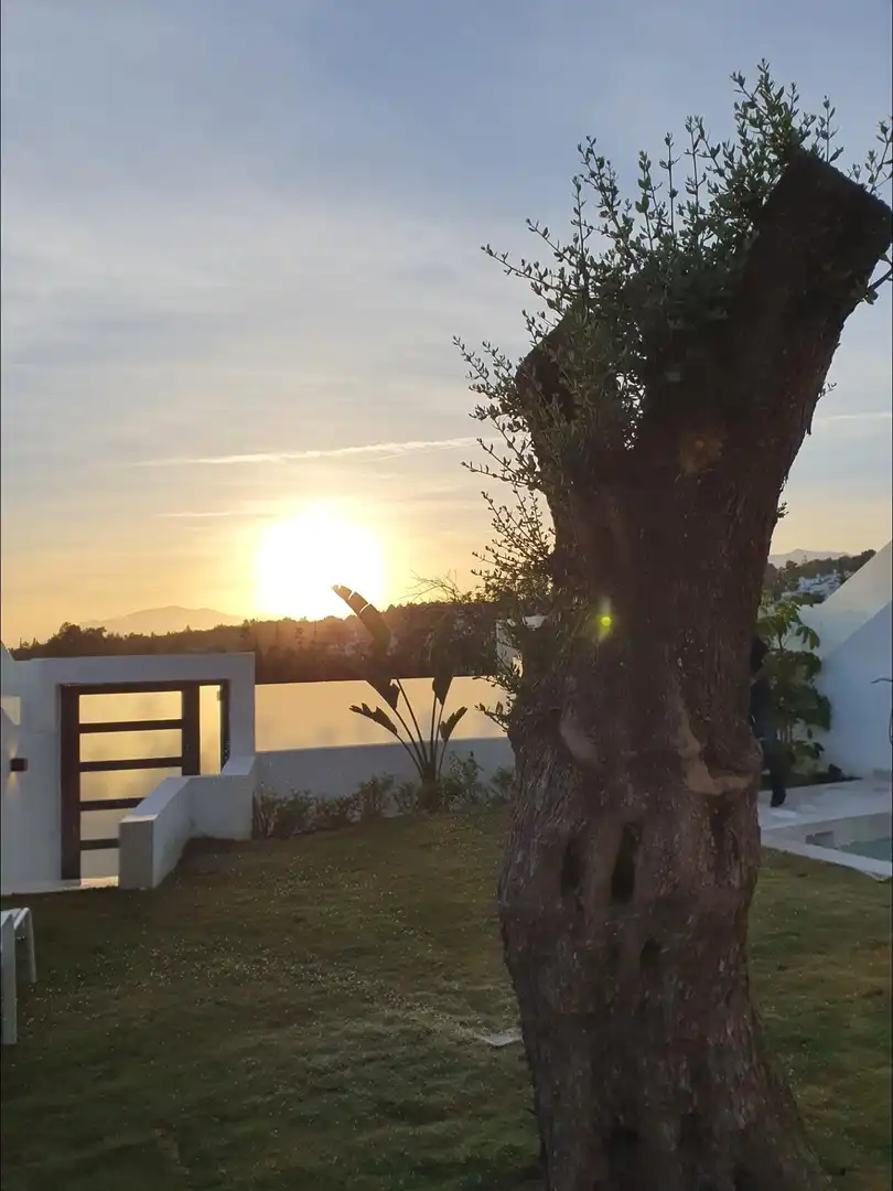 Jardí de Casa o xalet en venda en Marbella amb Aire condicionat, Calefacció i Jardí privat