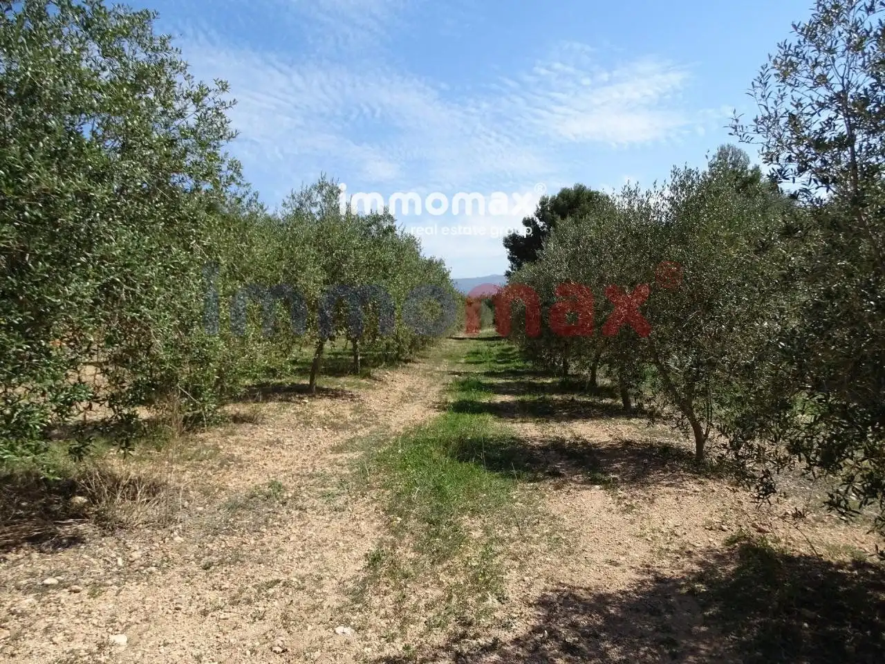 Terrenos y solares en venta en 63, imagen 3