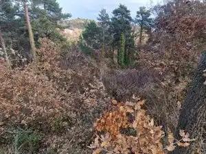 Residential land for sale in Carrer Fontanelles 374, imagen 3