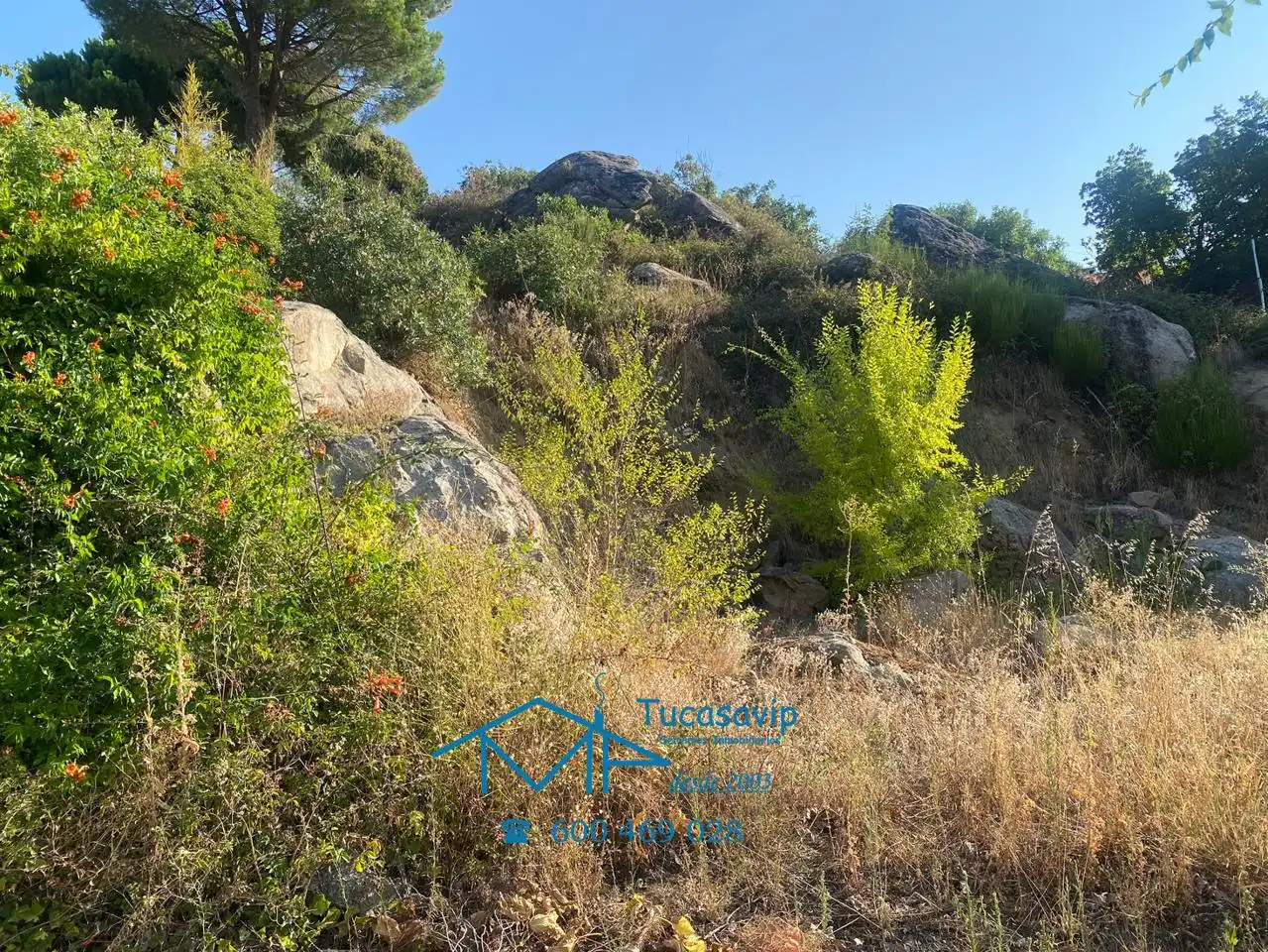 Terrenos y solares en venta en El Tiemblo