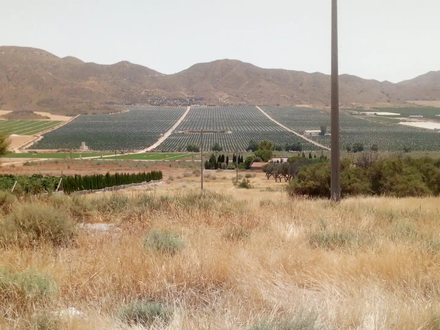 Terreno en venta en Almendricos