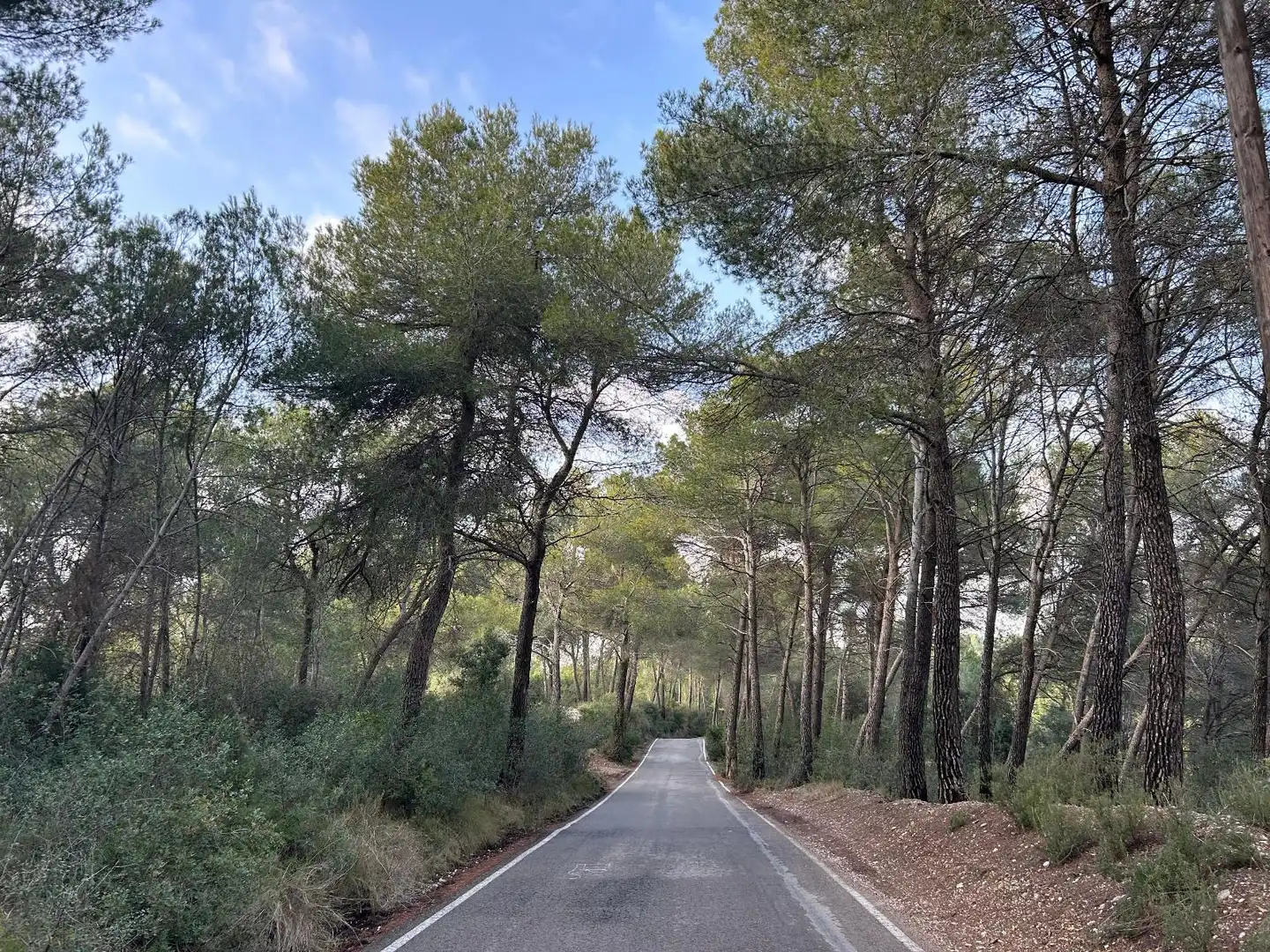 Rustikales Grundstück zum Verkauf in CAN FELIU, imagen 3