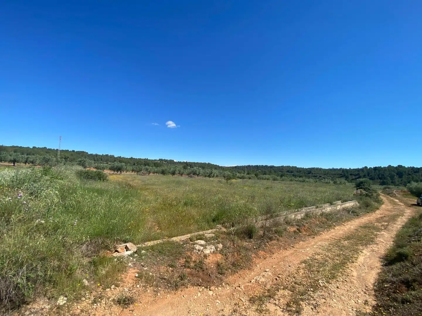 Terrain résidentiel à vendre à Chella, imagen 5