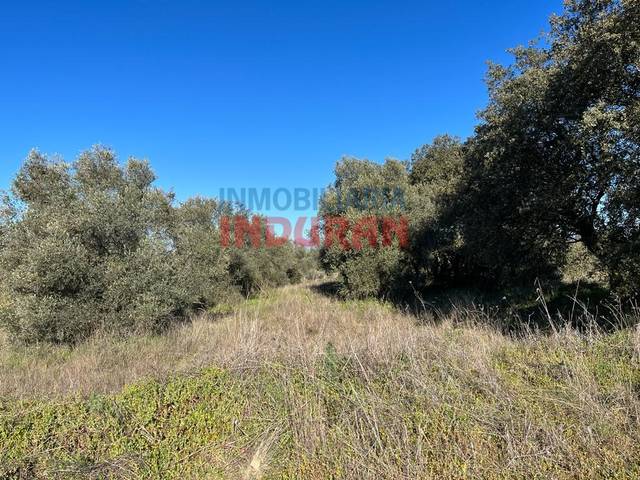 Casa-chalet en Venta en Millanes