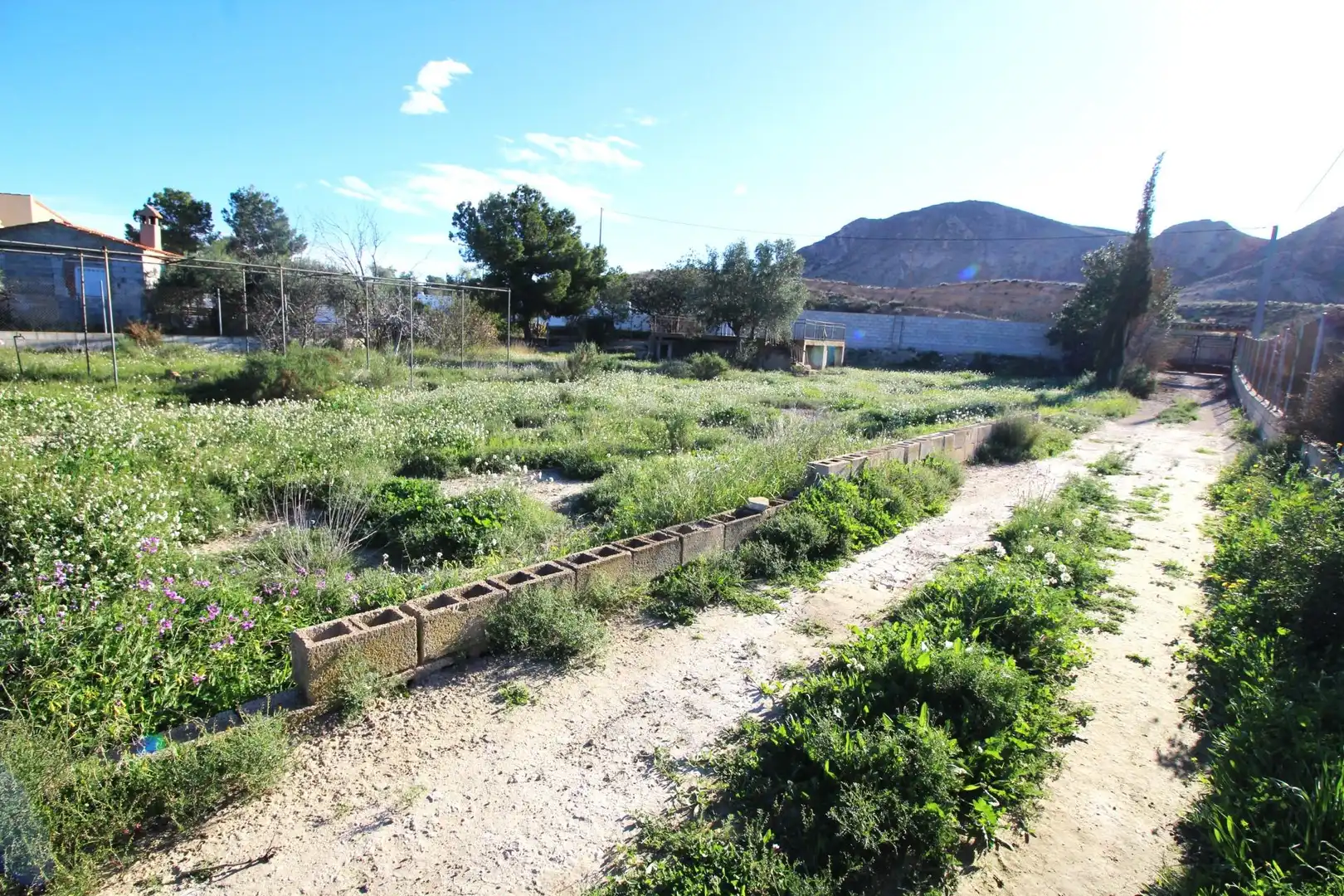 Casa o xalet en venda en Alicante / Alacant
