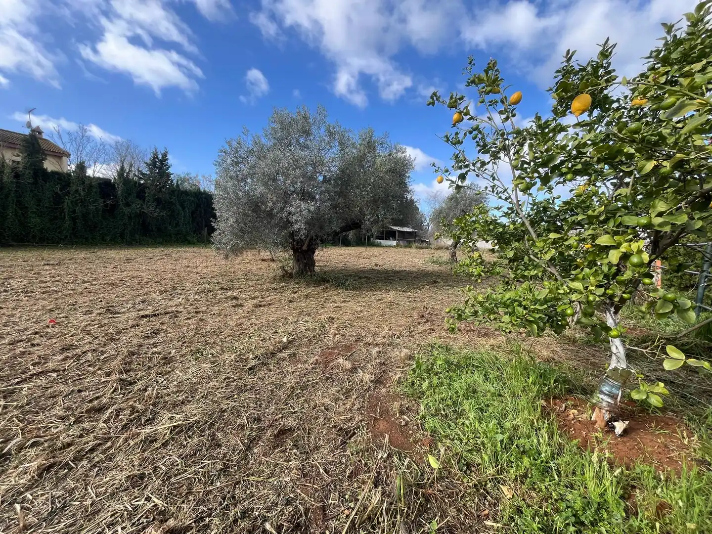 Residential for sale in Palomares del Río