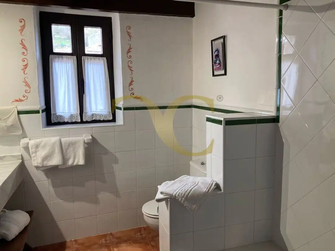 Bathroom of Houses for sale in Peñamellera Baja