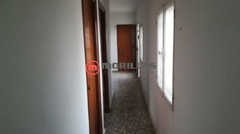 Foto 4 de Casa o chalet en venta en Camino Polígono 39 Paraje 49 la Bermeja, Mula, Murcia