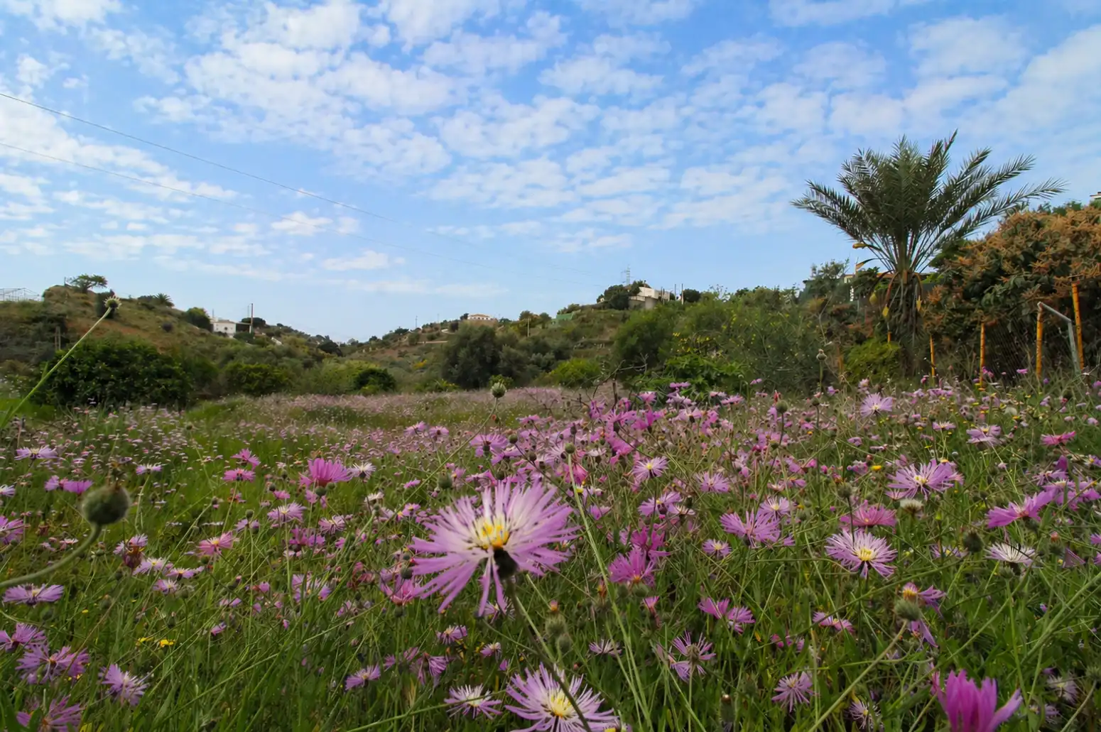 Jardín de Casa o chalet en venta en Vélez-Málaga con Calefacción y Jardín privado
