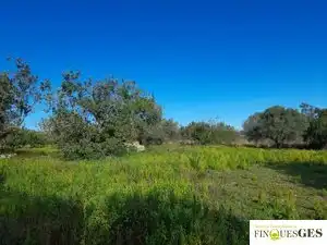 Terreno en venta en La Masó