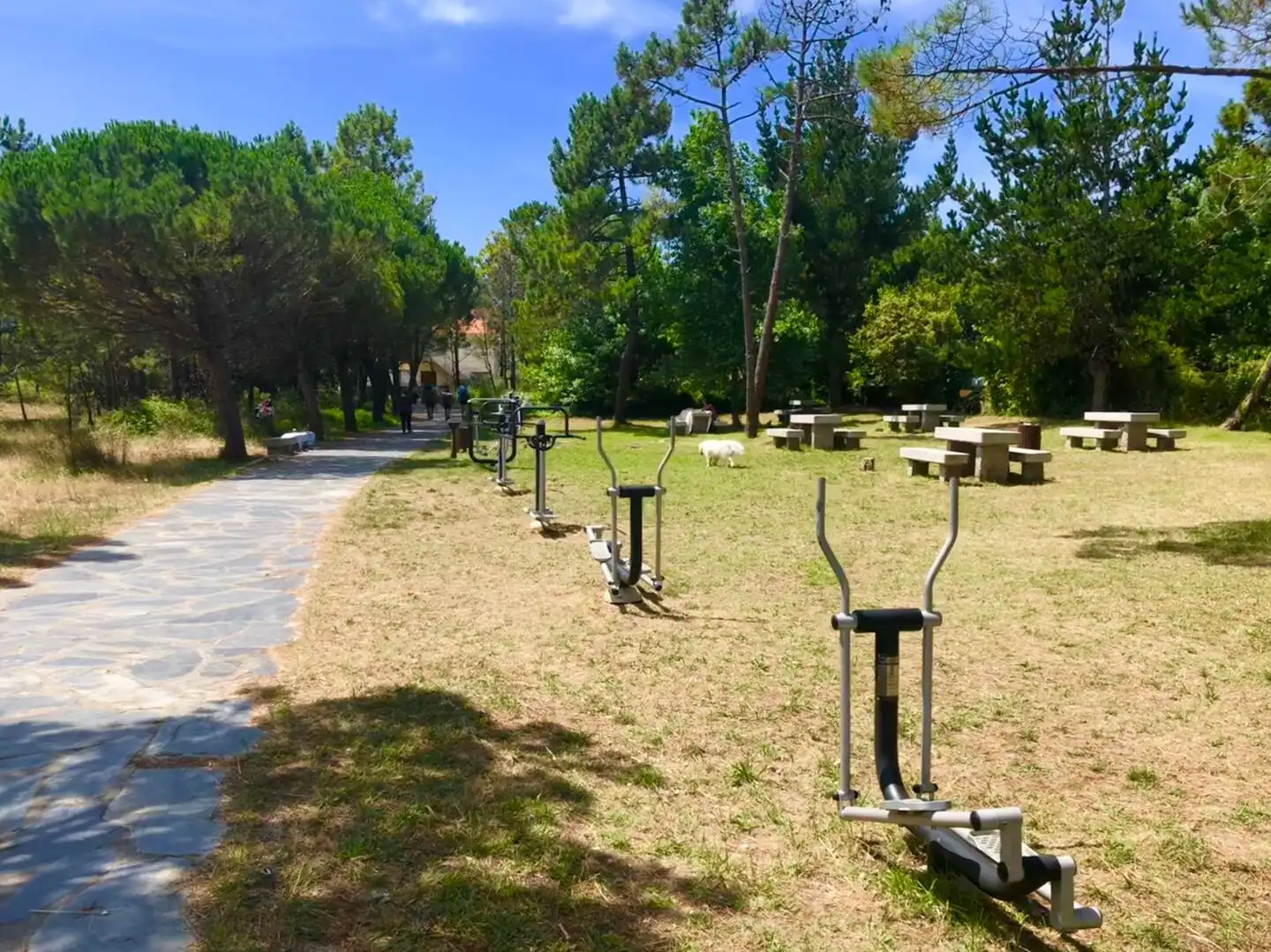 Jardín de Apartamento de alquiler en Fisterra con Trastero, Amueblado y Horno