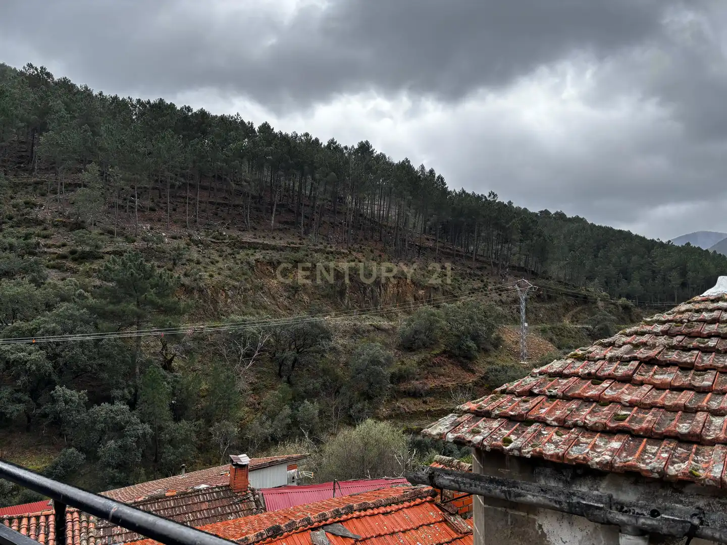 Exterior view of Houses for sale in Pinofranqueado