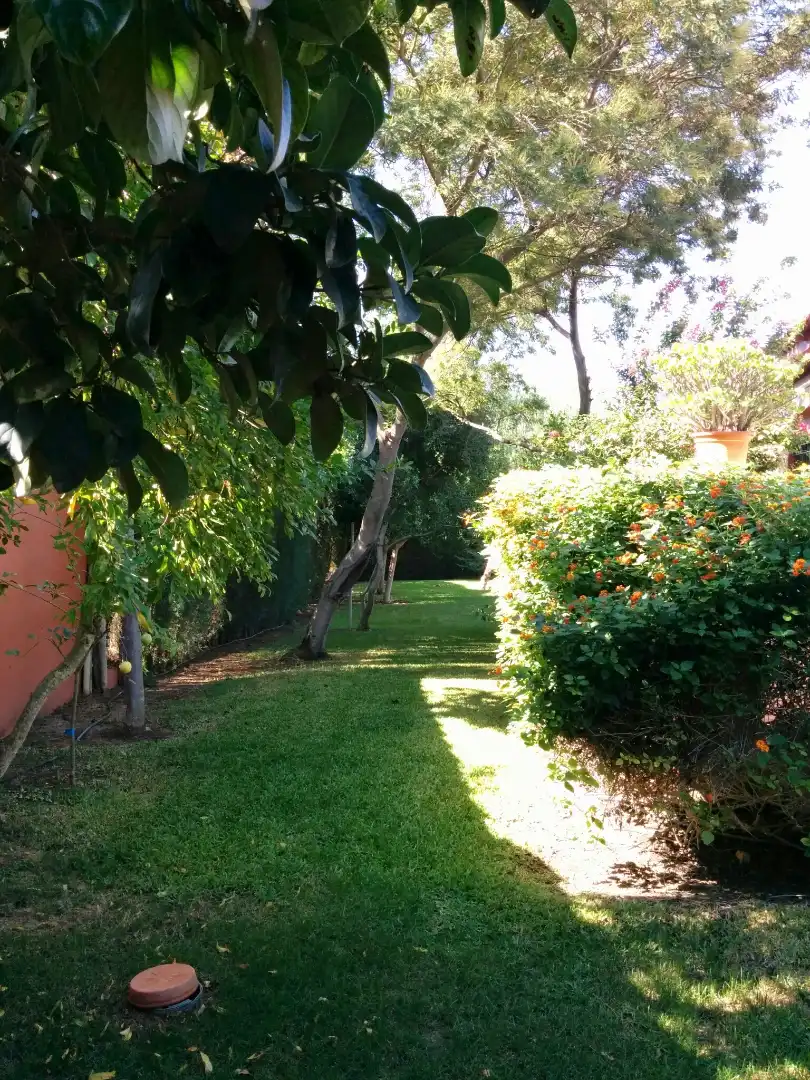 Jardí de Casa o xalet en venda en Alcalá de Guadaira amb Aire condicionat, Calefacció i Jardí privat