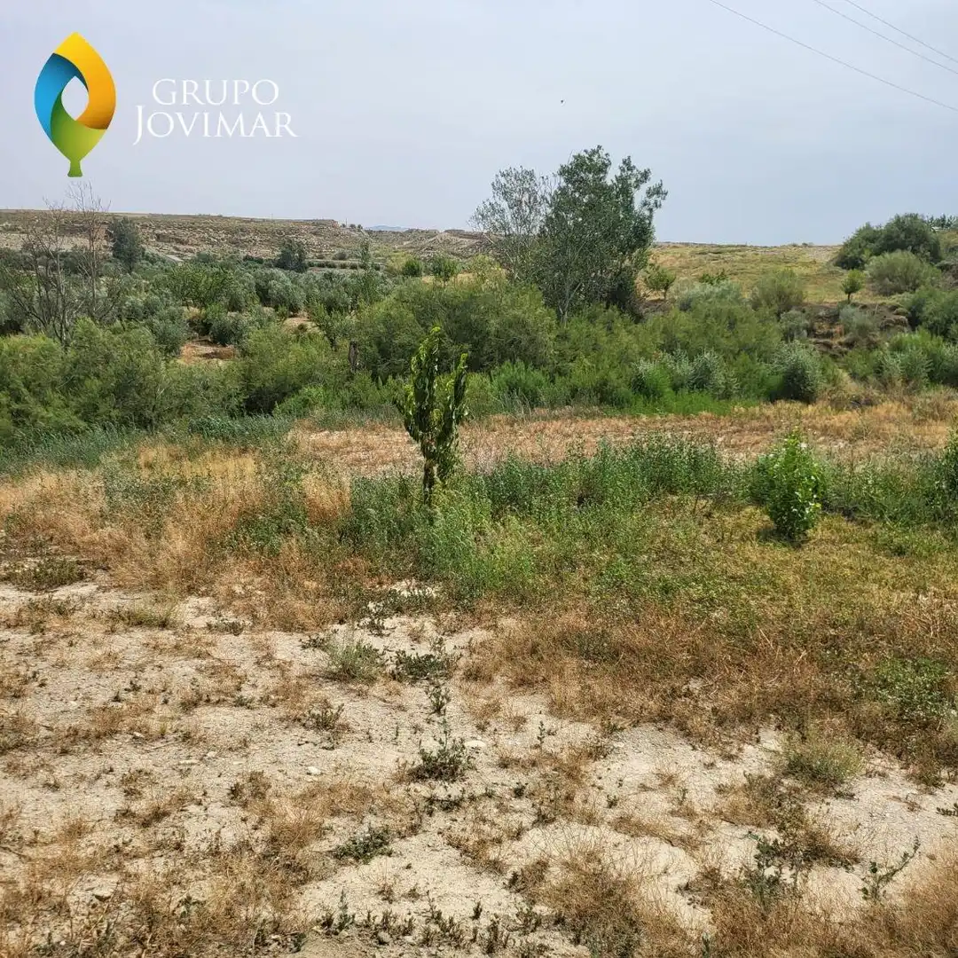 Terreno rustico in vendita a Caniles, imagen 17